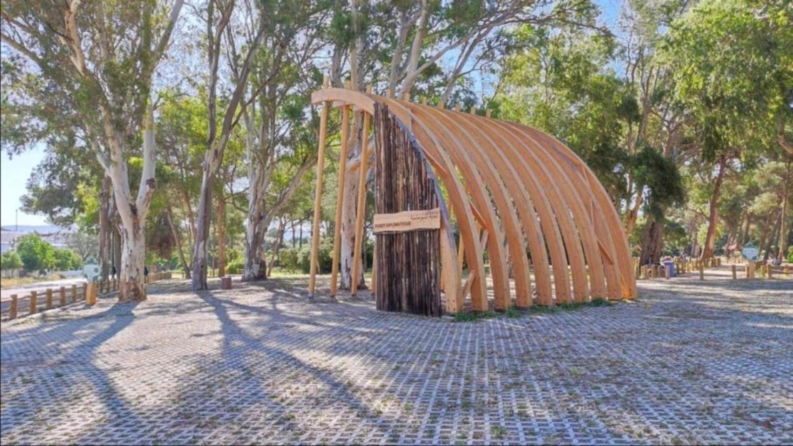 Charming, Peaceful House, Between Forest And Sea Tanger Exteriör bild